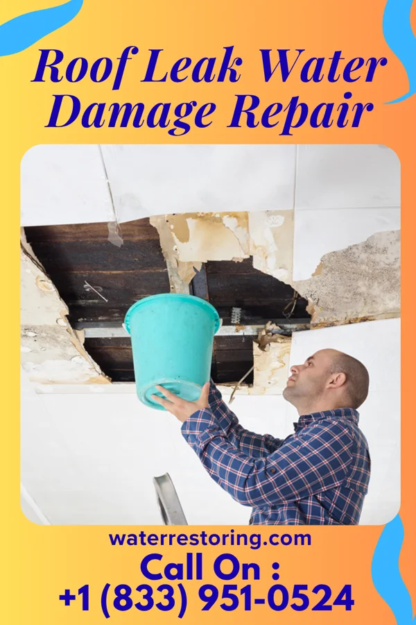 Roof Leak Water Damage Repair in Soldier, IA
